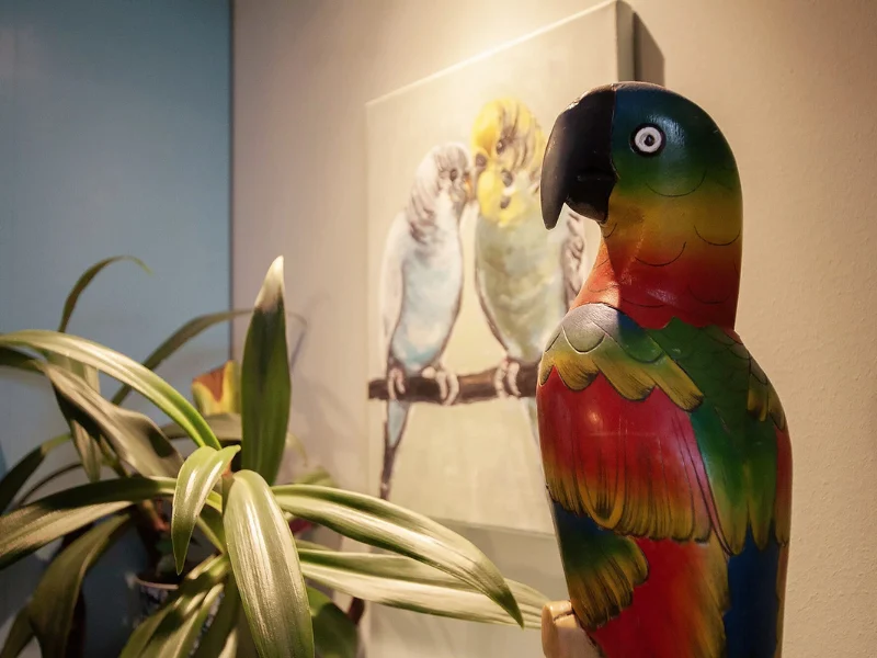 Bydgoszcz apartamenty u olechny 5 (3)