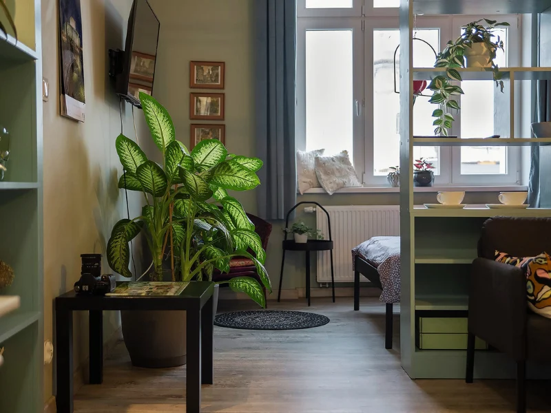 Bydgoszcz apartamenty u olechny 5 (6)