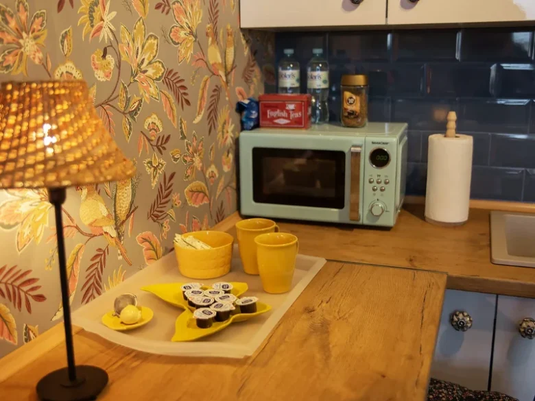 Bydgoszcz apartamenty u olechny 5 (9)