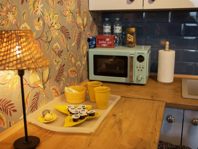 Bydgoszcz apartamenty u olechny 5 (9)